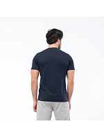 Pánské tričko s krátkým rukávem model 22062949 Pánské tričko s krátkým rukávem model 22062949