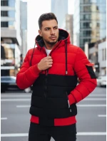 Pánská zimní bunda s kapucí Dstreet model 21993653 - FashionStreet