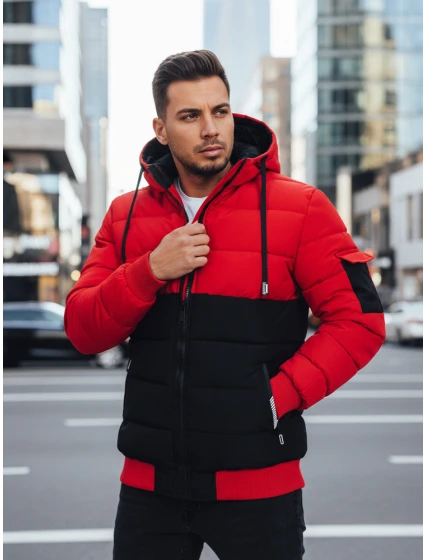 Pánská zimní bunda s kapucí Dstreet model 21993653 - FashionStreet