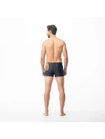 Plavecké boxerky M model 20206677 - AquaWave Plavecké boxerky M model 20206677 - AquaWave