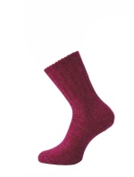 Dámské ponožky  Socks 3542 model 19002409 - WiK