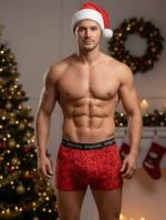 Boxerky C+3 art.VBE-740 Vianoce - C+3 Boxerky C+3 art.VBE-740 Vianoce - C+3