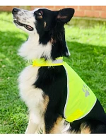 – Bezpečnostní vesta pro hi vis yellow model 22411254 - Korntex – Bezpečnostní vesta pro hi vis yellow model 22411254 - Korntex