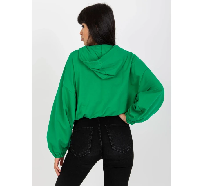 Mikina RV BL model 17537862 zelená - FPrice