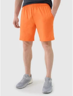 Pánské rychleschnoucí tréninkové šortky model 21434227 - 4F