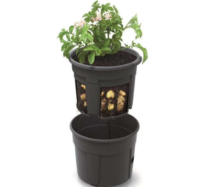 Podnos na sadenie zemiakov ¶ 39,2 cm detské