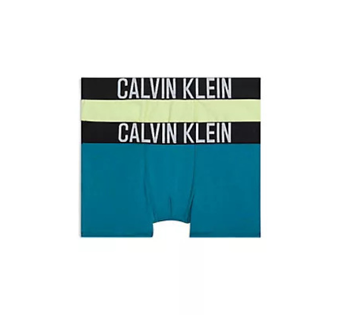 Chlapčenská spodná bielizeň 2PK TRUNK B70B7004610SV - Calvin Klein
