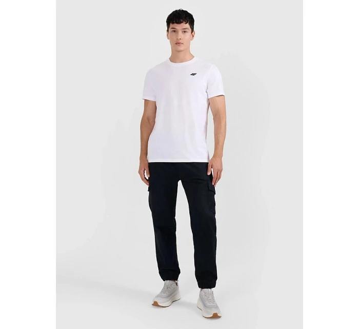 Pánske tričko (sada 2 tričiek) 4F 4FRMM00TTSHM2705-90S