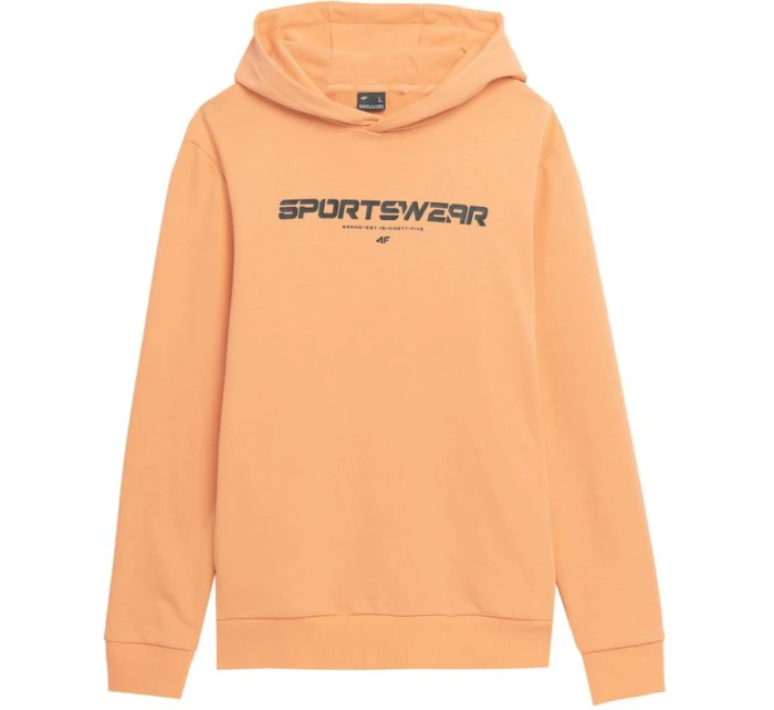 Pánská mikina M SS23TSWS  model 18353885 - 4F