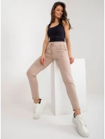 Spodnie dresowe RV DR model 19779796 ciemny bezowy - FPrice