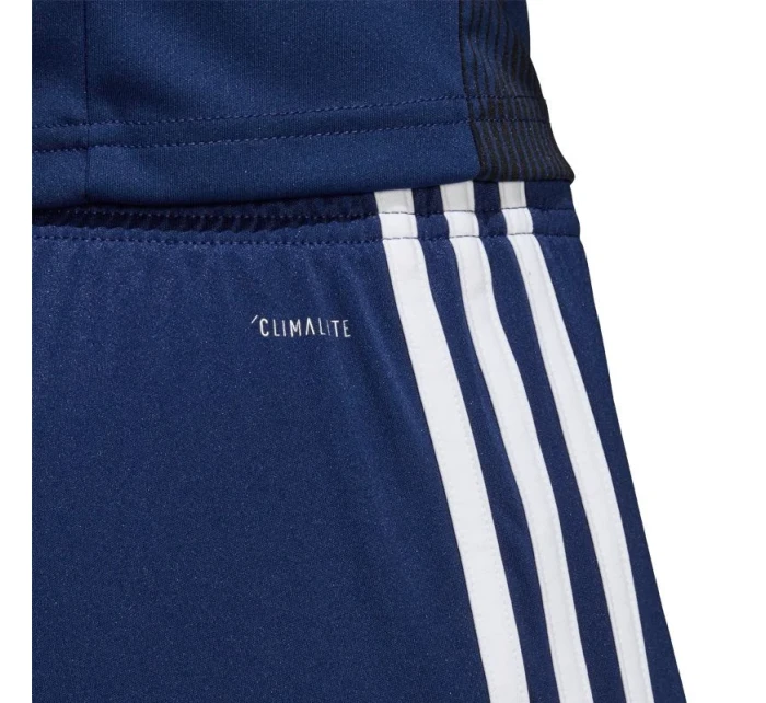 Pánske šortky Tastigo 19 M DP3245 - Adidas