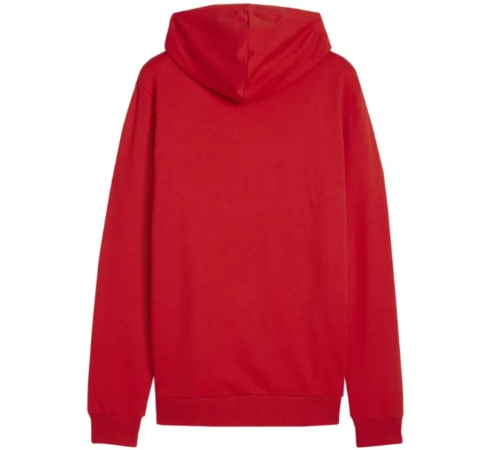 Puma Team Goal Casuals Hoody M 658618 01