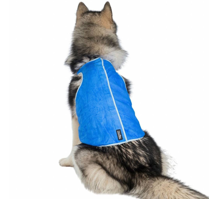 Oblek pre psa na Aljaške