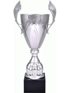 Stříbrný kovový pohár model 21827659