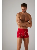 VIANOČNÉ BOXERKY+PONOŽKY 20385