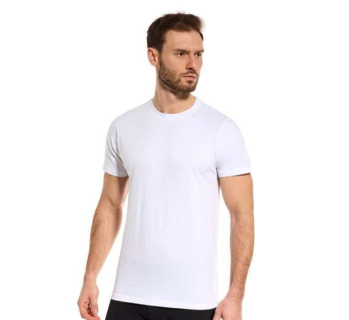 PÁNSKE TRIČKO TT002 PÁNSKE TRIČKO TT002