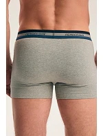 PÁNSKÉ BOXERKY  AW26 model 22341909 - Henderson
