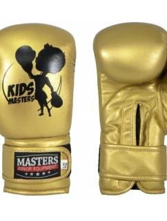 Boxerské rukavice - model 21860290