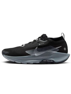 Topánky Nike Pegasus Trail 5 Gore-Tex FQ0908-001