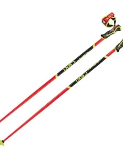 SL 3D 120 model 21443740 - Leki