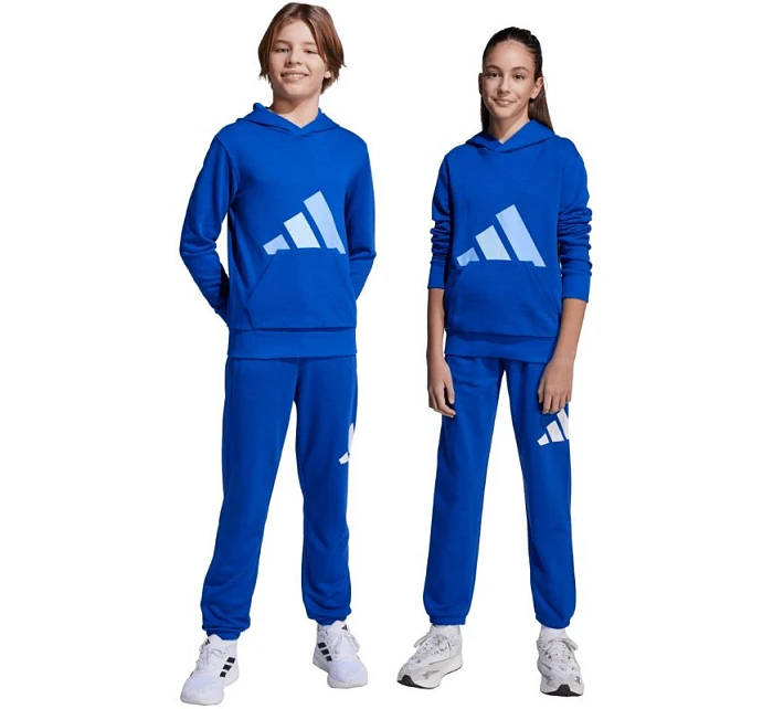 Detské nohavice adidas Essentials 280 blue JV9916