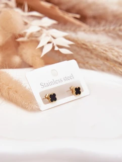 Malé náušnice z nerezové oceli model 21772384 - Boto