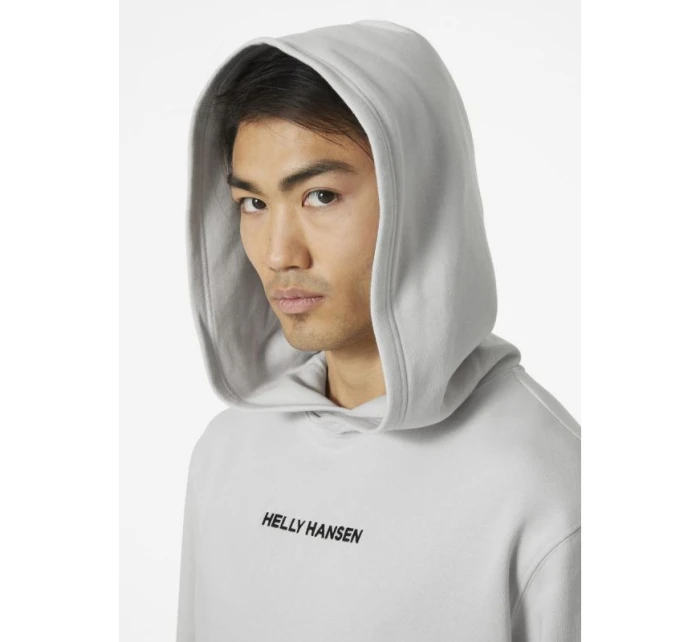 Bluza Core Graphic Sweat Hoodie M model 20799024 - Helly Hansen Bluza Core Graphic Sweat Hoodie M model 20799024 - Helly Hansen