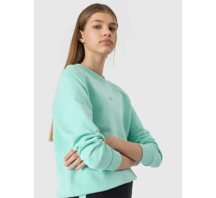 Mikina Jr model 19912480 - 4F