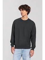 Iconic 250 SetIn Sweat Mikina model 22459207 light graphite - Fruit of the Loom Iconic 250 SetIn Sweat Mikina model 22459207 light graphite - Fruit of the Loom