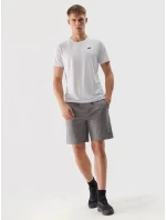 Pánské sportovní rychleschnoucí šortky 4F - šedé Pánské sportovní rychleschnoucí šortky 4F - šedé