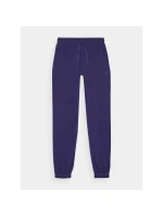 Dámské tepláky typu jogger model 21432232 - 4F