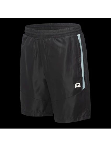 Pánské šortky model 21353746 - IQ