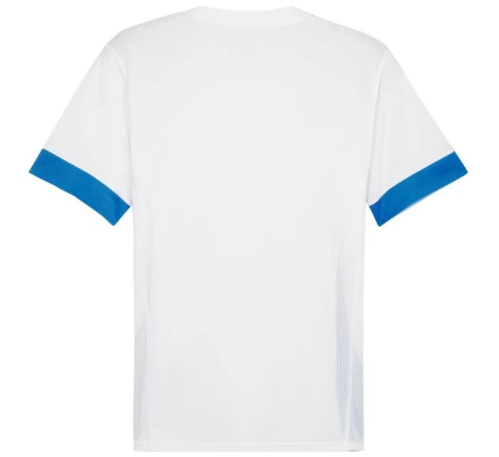 Puma teamGoal Matchday Jersey M 705747 12 muži