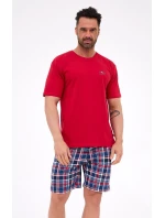 4 pyžamo pánské 3XL4XL model 21337413 - Cornette