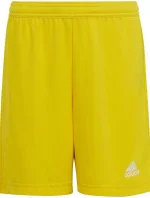 Detské šortky Entrada 22 Jr IC7411 - ADIDAS