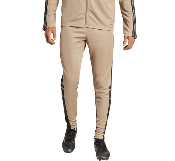 Nohavice adidas Squadra 25 Training M JP3374