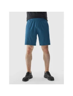 Pánske pravidelné rýchloschnúce tréningové šortky 4F 4FWAW24TFSHM698-46M