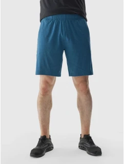 Pánské rychleschnoucí tréninkové šortky model 21432040 - 4F