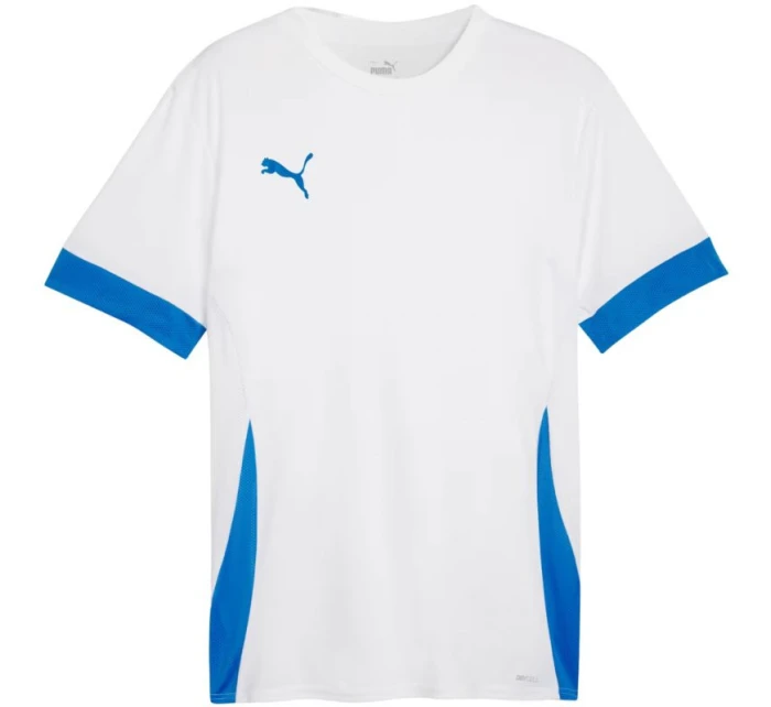 Puma teamGoal Matchday Jersey M 705747 12 muži