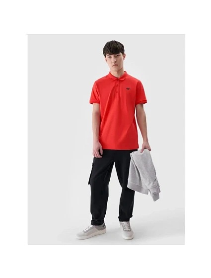 Pánská polokošile regular model 21437346 pánské - 4F