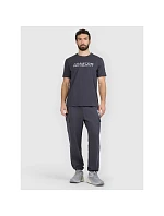 Pánske tričko s potlačou 4F 4FRAW25TTSHM3384-22S