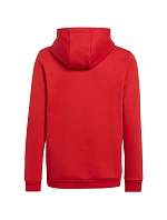 Detské futbalové tričko Entrada 22 Hoody Jr H57566 - Adidas
