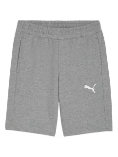 Puma pánske teamGOAL Casuals sivé 658608 33