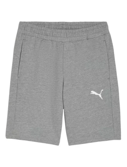 Puma pánske teamGOAL Casuals sivé 658608 33