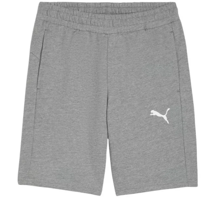 Puma pánske teamGOAL Casuals sivé 658608 33