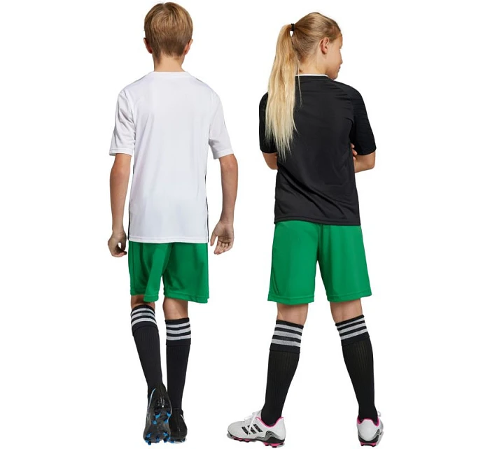 Detské šortky Entrada 22 Jr IC7410 - Adidas