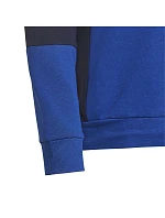 Adidas Colourblock Hoodie Jr HG6826
