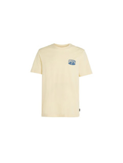 Plážové tričko s grafikou O'Neill M 92800613972
