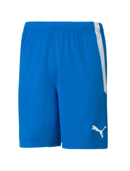 Šortky teamLIGA M model 18825948 02 - Puma Šortky teamLIGA M model 18825948 02 - Puma