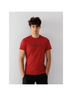 Pánské tričko M model 21424822 - 4F